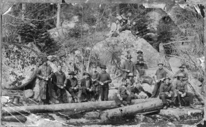 Logging Crew