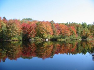 fall reflection                      