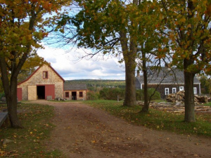 ross farm1                        